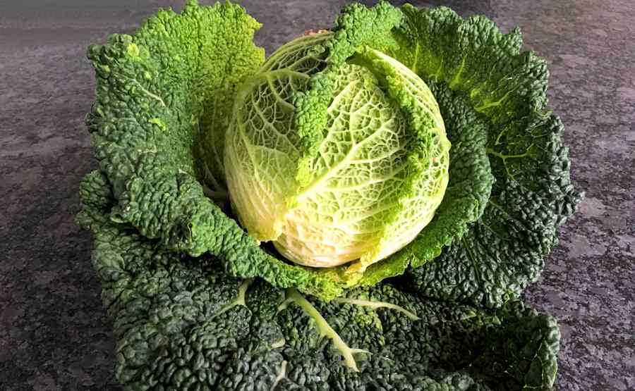 Roasted Savoy Cabbage Recipe Cuisine Fiend